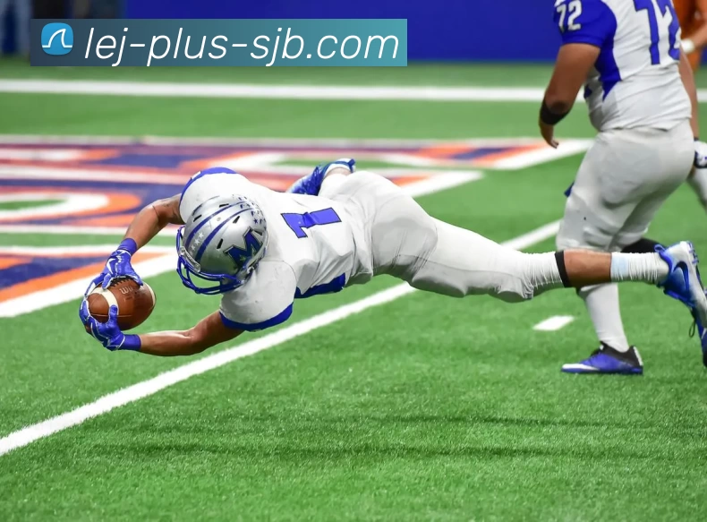 App Interface Preview